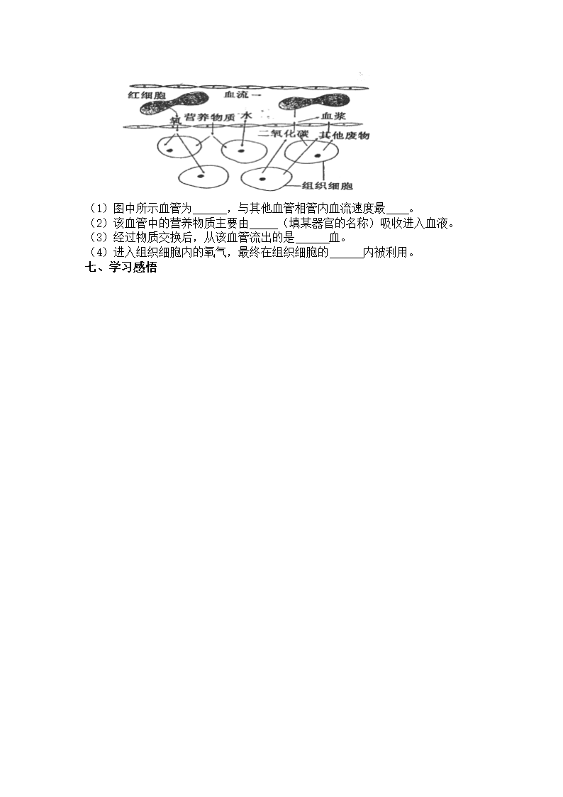 血管  学案第3页