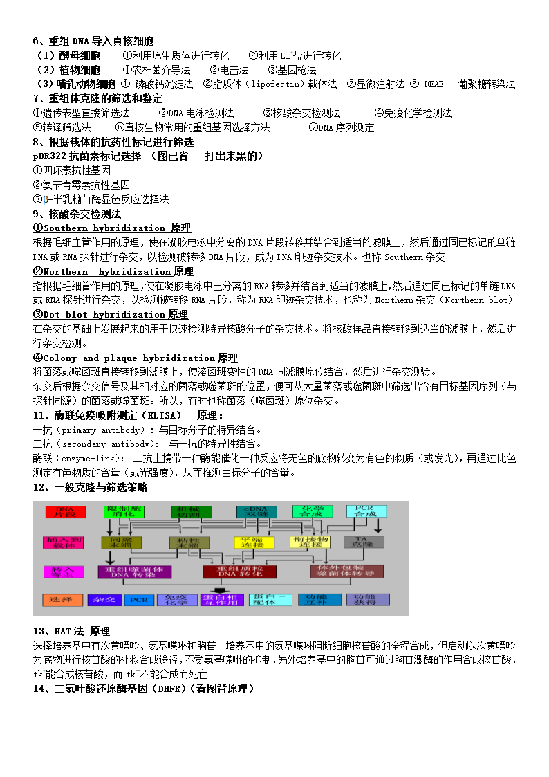 基因工程总结第5页