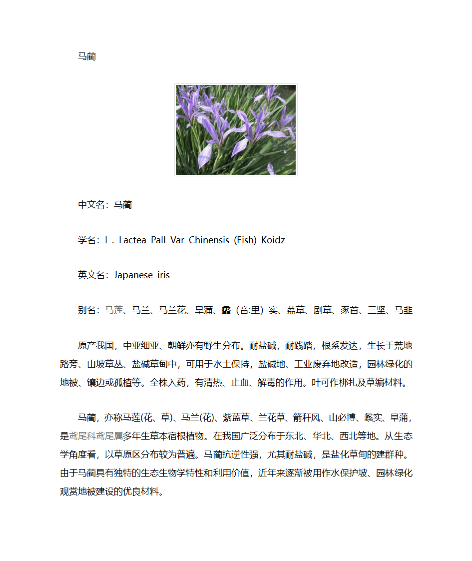 绿化植被第5页