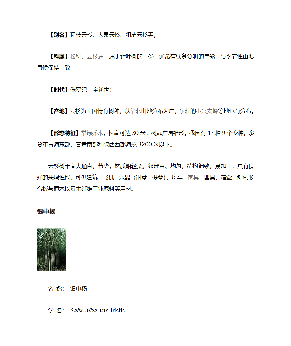 绿化植被第10页