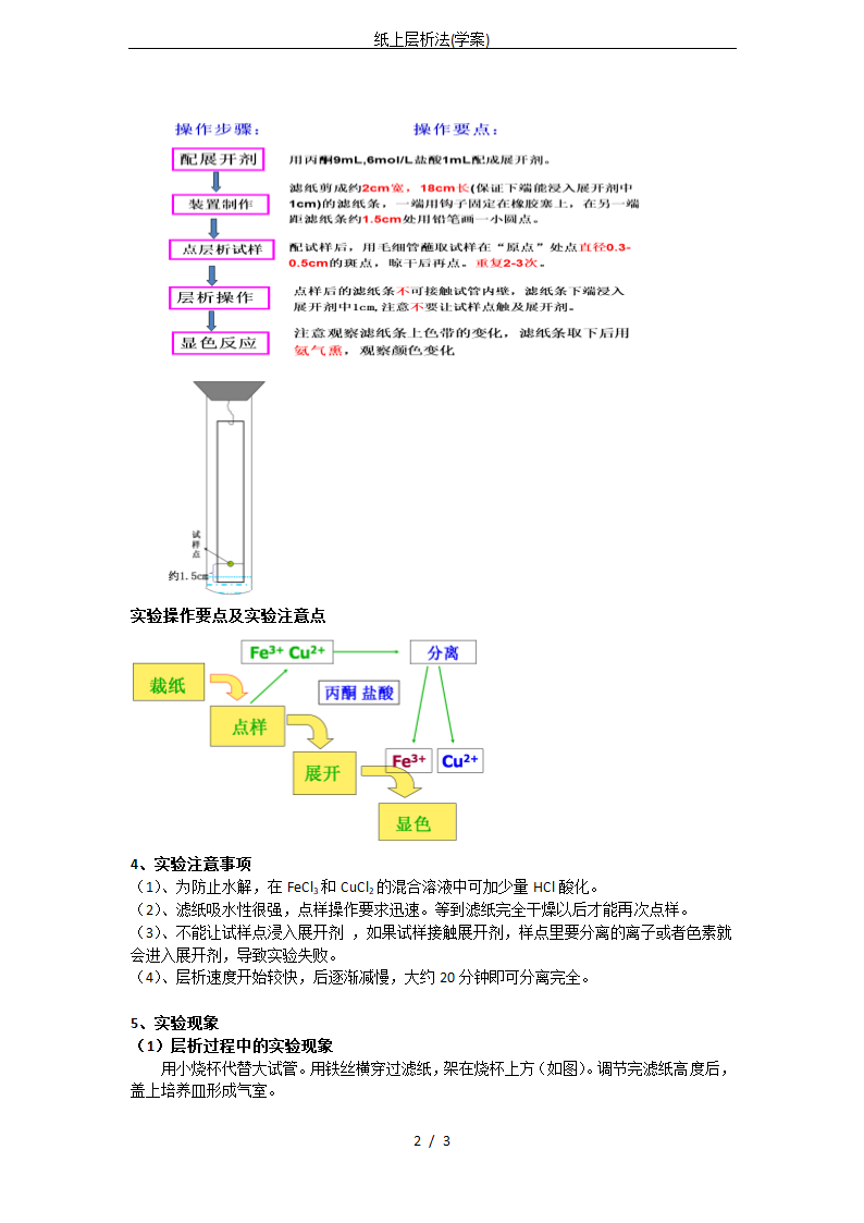 纸上层析法(学案)第2页