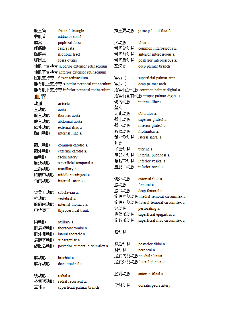 骨科英语词汇第7页