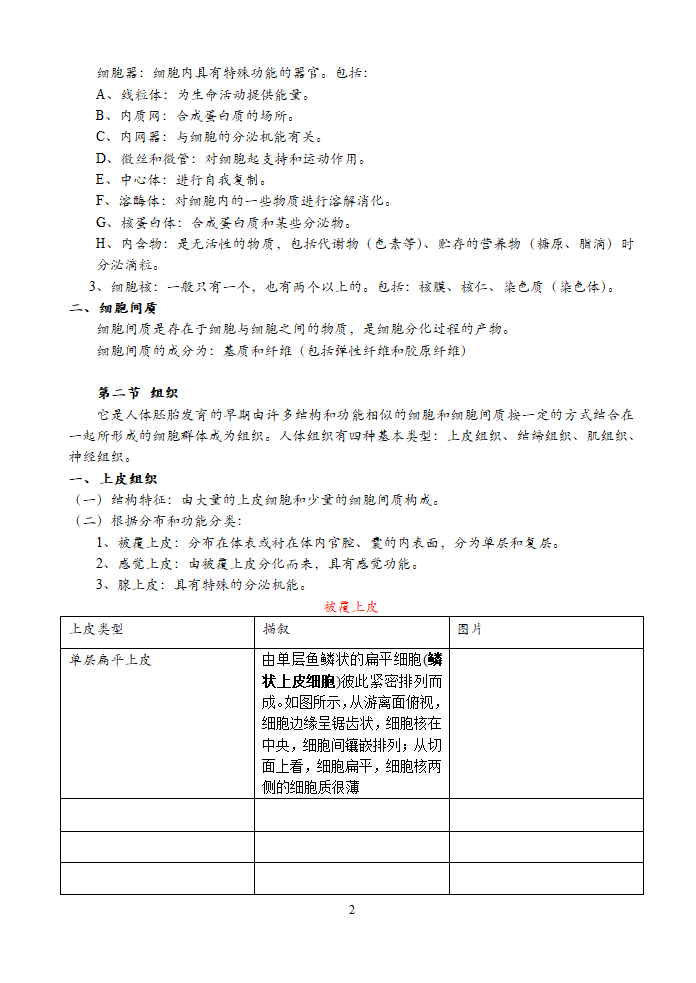 运动解剖学笔记第3页