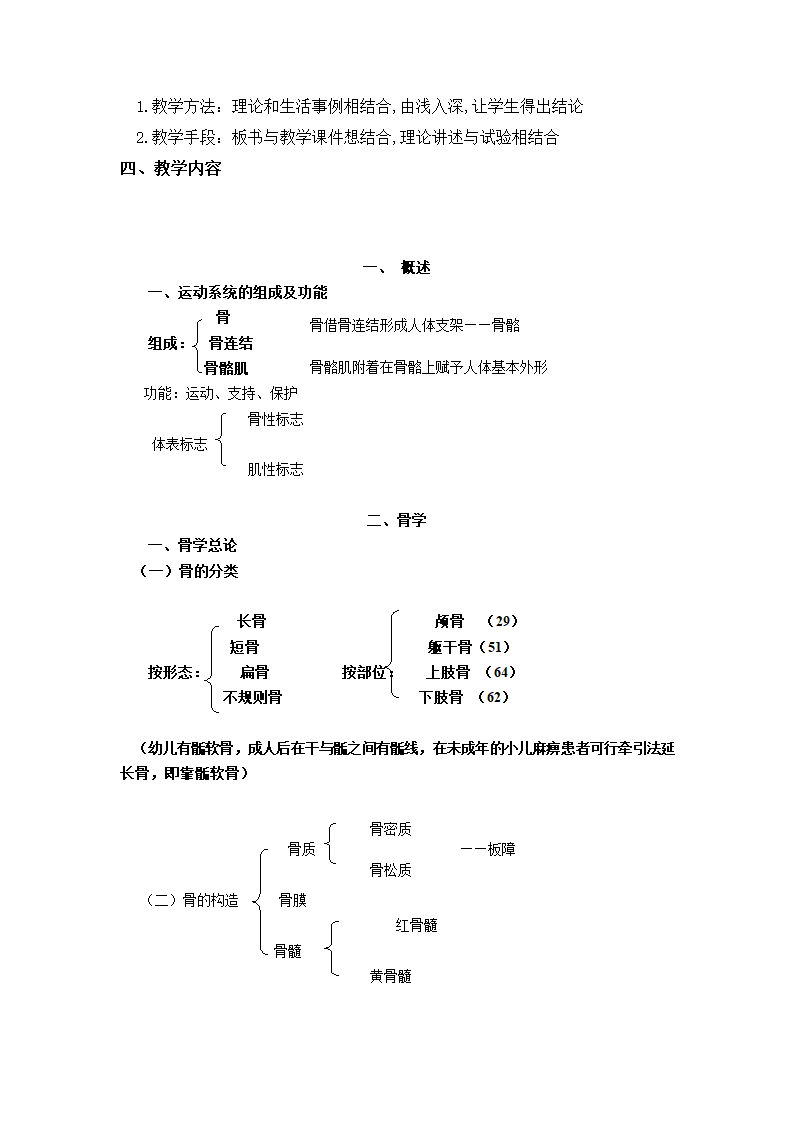 解剖教案第16页