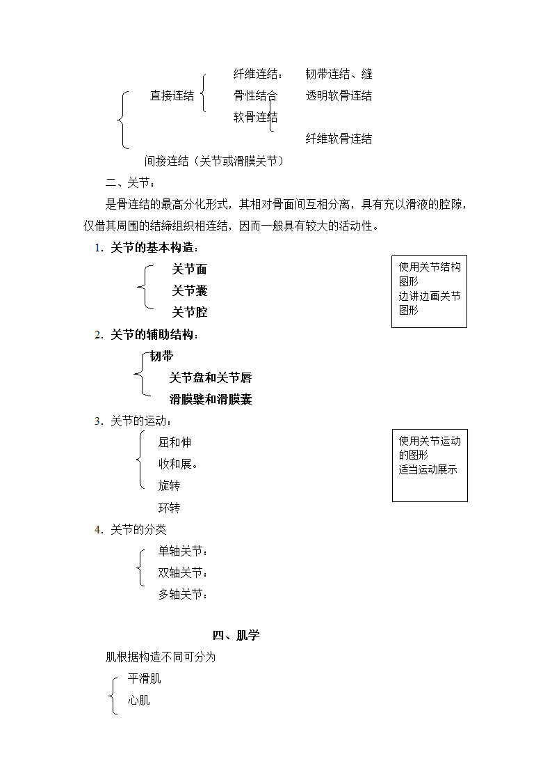 解剖教案第18页