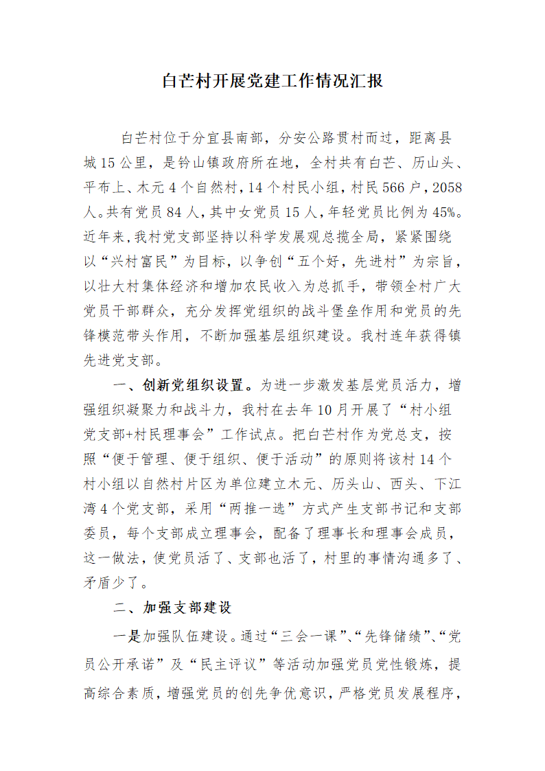 白芒村开展党建工作情况汇报第1页