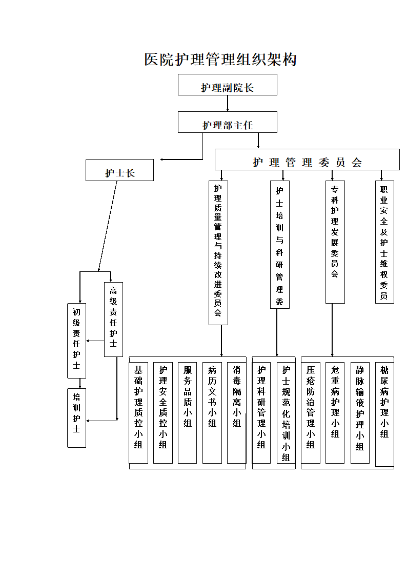 医院护理管理组织架构