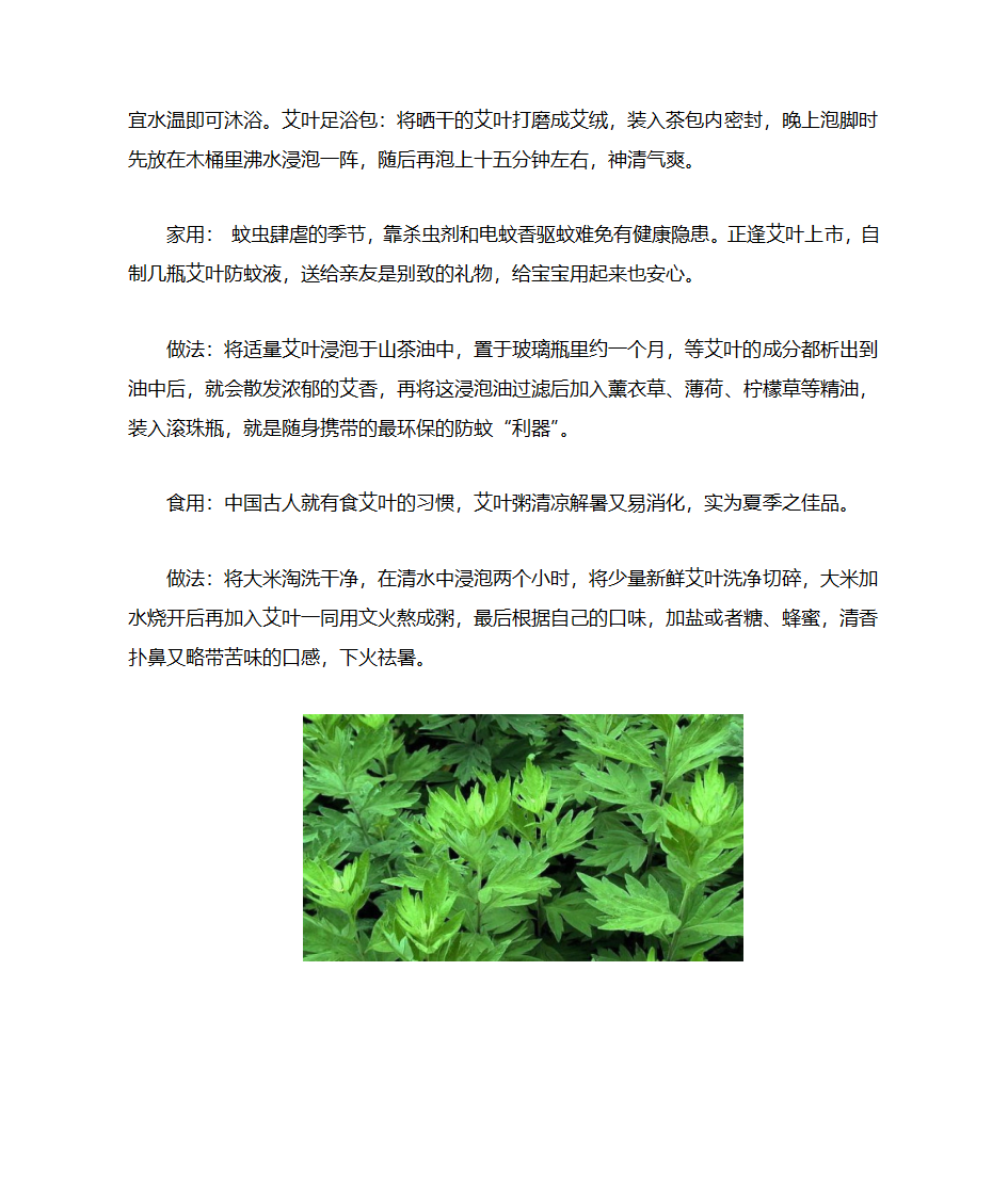 艾草泡脚的几种方法第2页