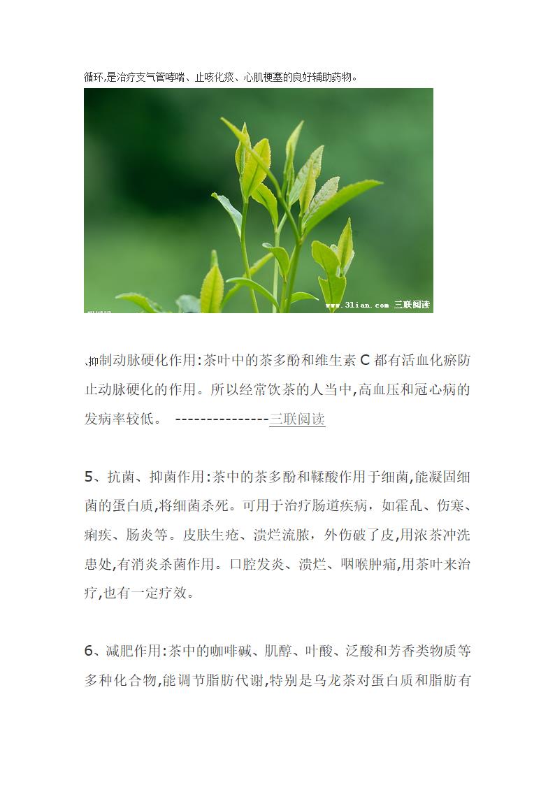 中国传统茶文化第9页