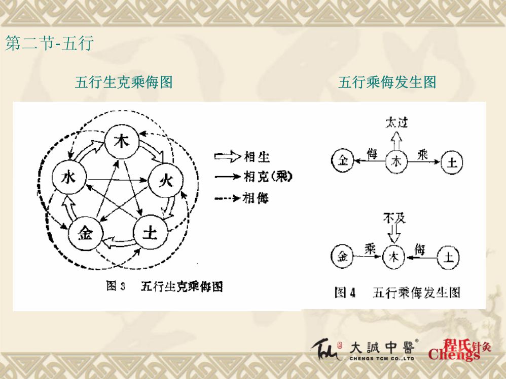 中医基础理论第14页