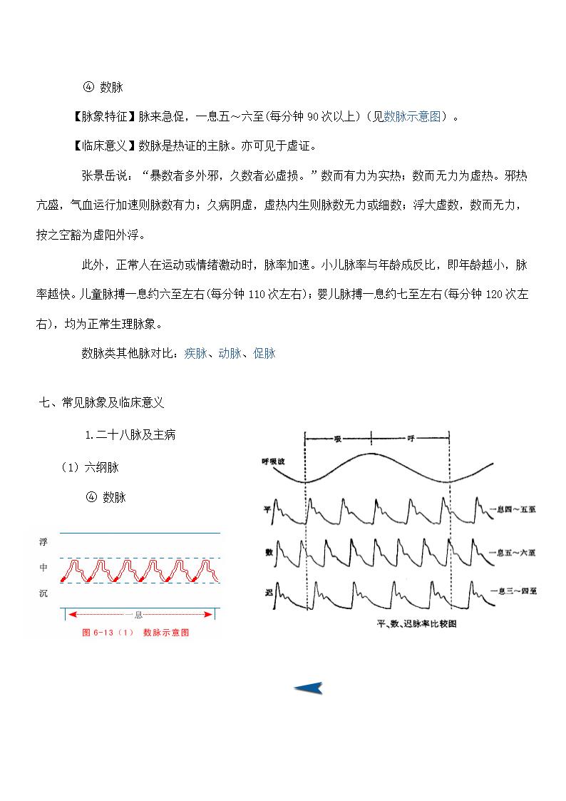 中医脉象第23页