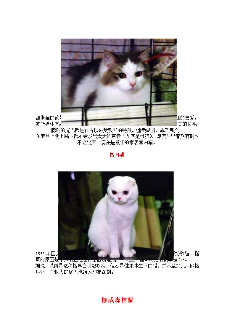 猫咪种类第7页