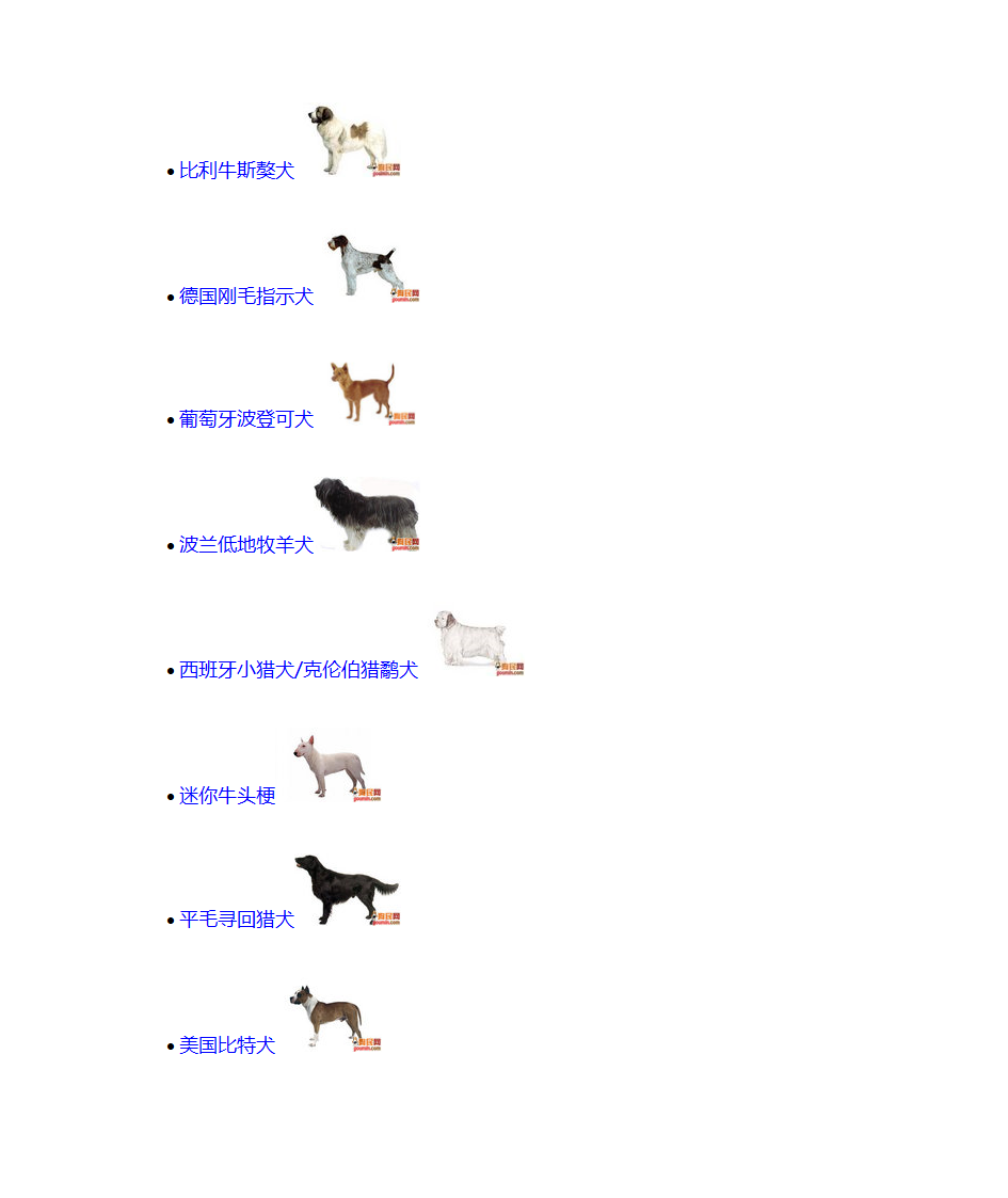 宠物狗品种第13页