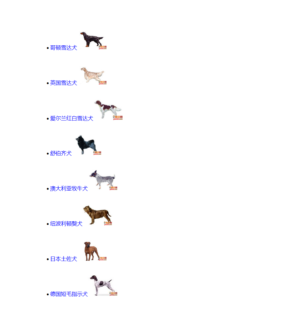 宠物狗品种第14页