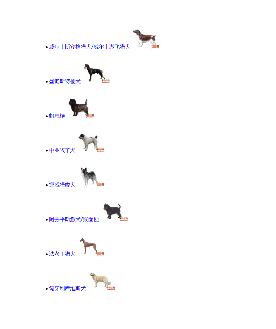 宠物狗品种第17页
