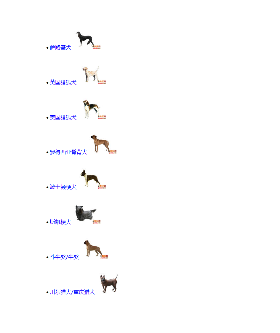 宠物狗品种第18页