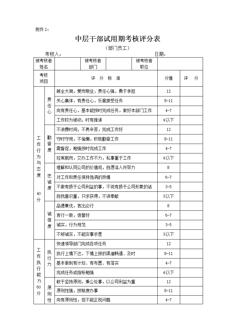 公司中层干部副职试用期考核实施方案.docx第6页