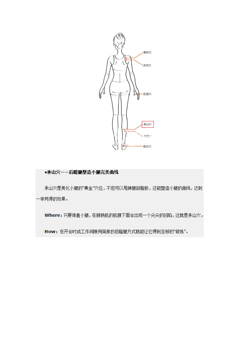 减肥穴位第12页