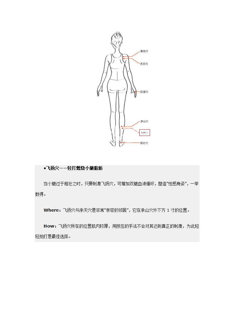 减肥穴位第13页