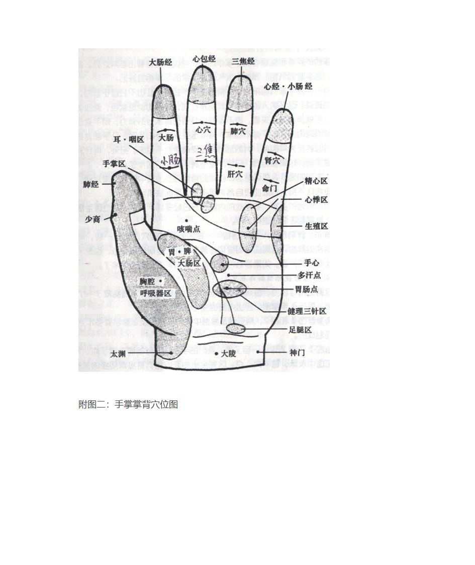 手掌穴位按摩方法(附手部穴位图)第8页