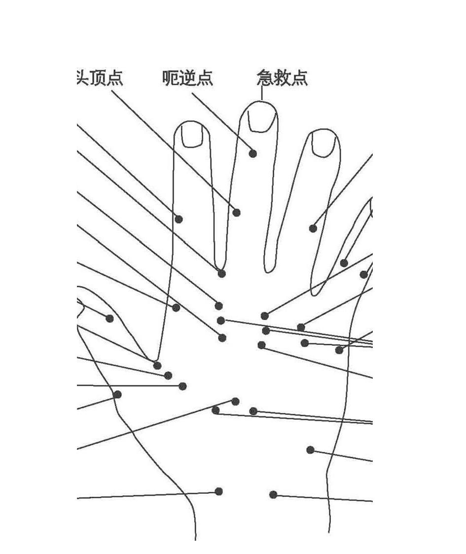 手掌穴位按摩方法(附手部穴位图)第14页