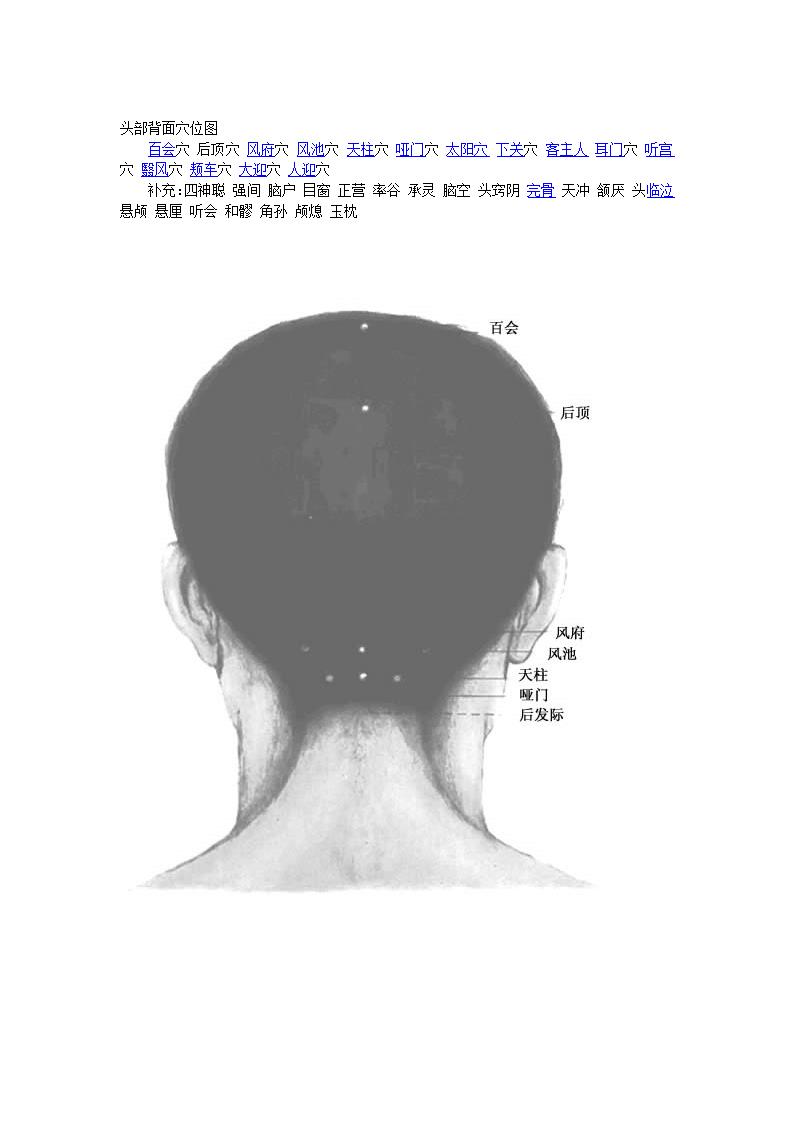 人体穴位图第2页