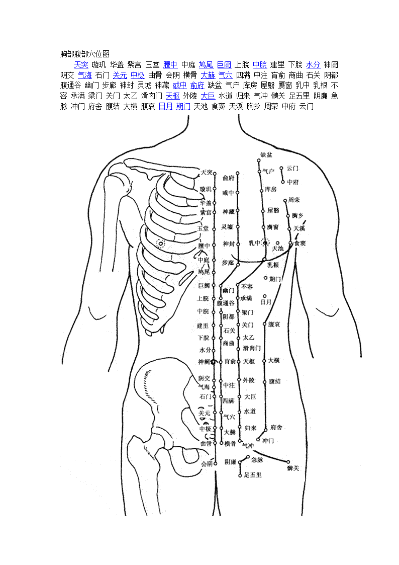 人体穴位图第3页