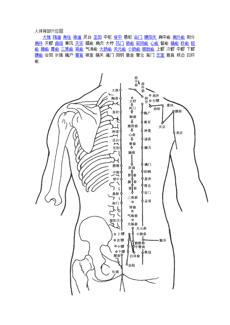 人体穴位图第4页