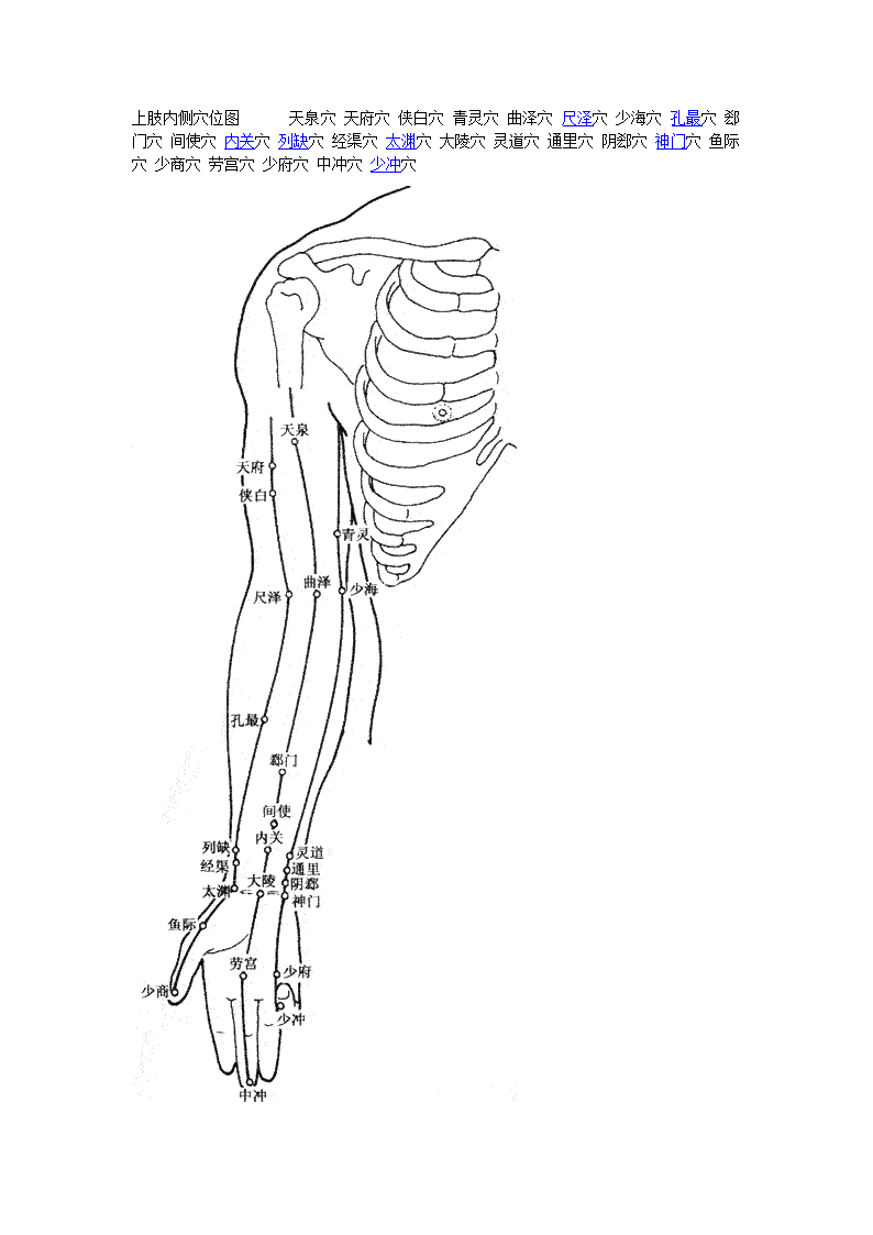人体穴位图第5页