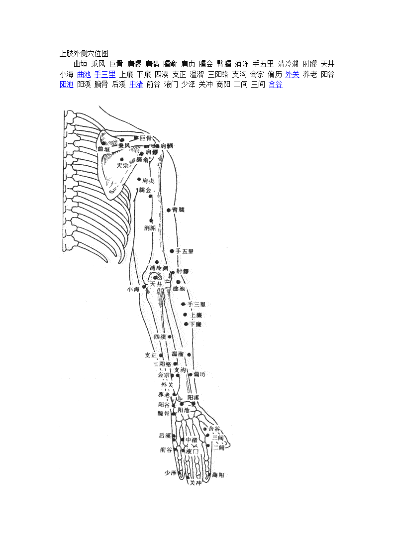 人体穴位图第6页