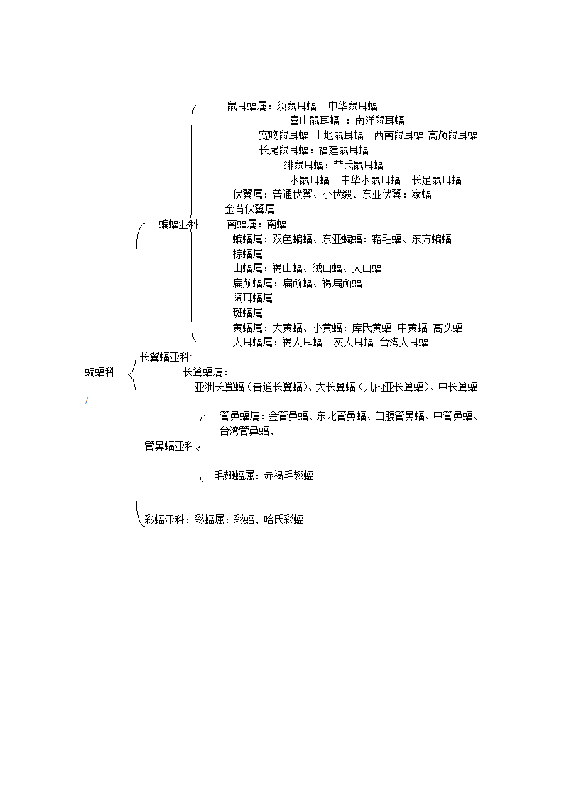 蝙蝠分类第2页