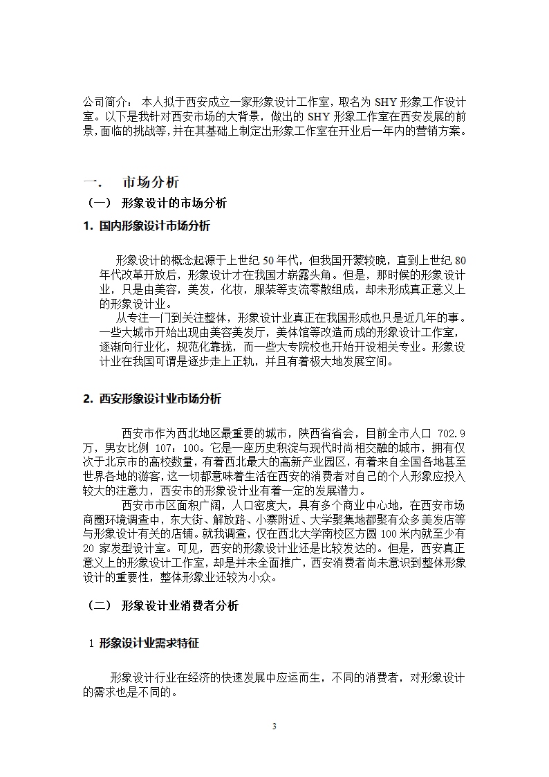 SHY形象设计工作室市场营销方案第3页