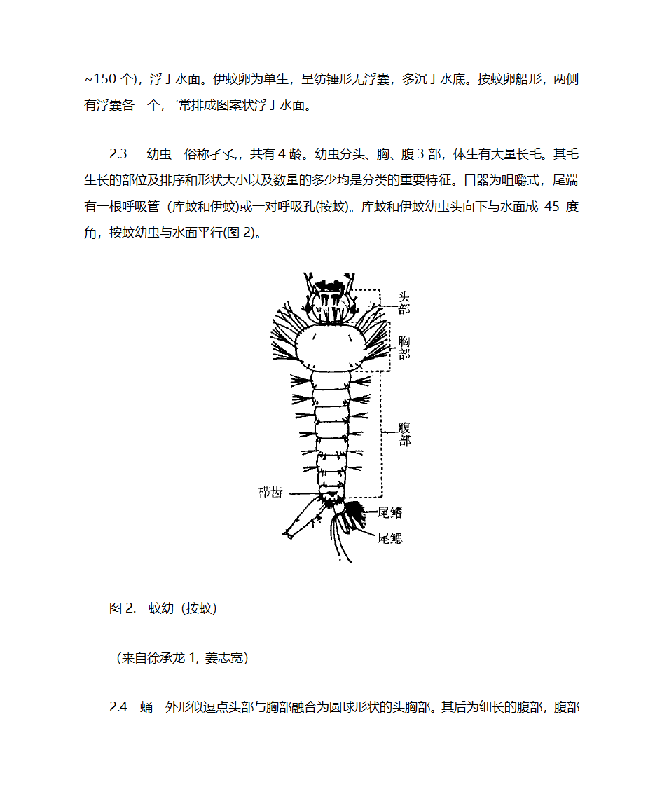 蚊子简介第3页