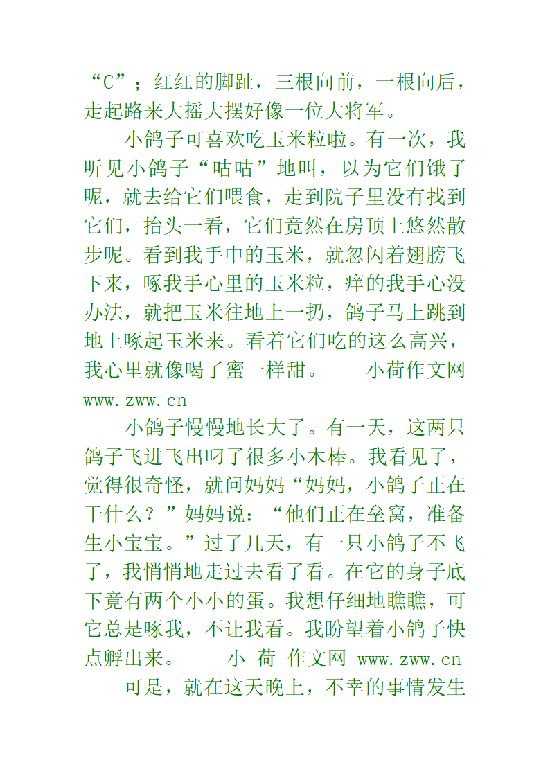 十二生肖成语第41页