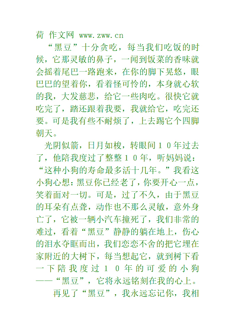 十二生肖成语第48页