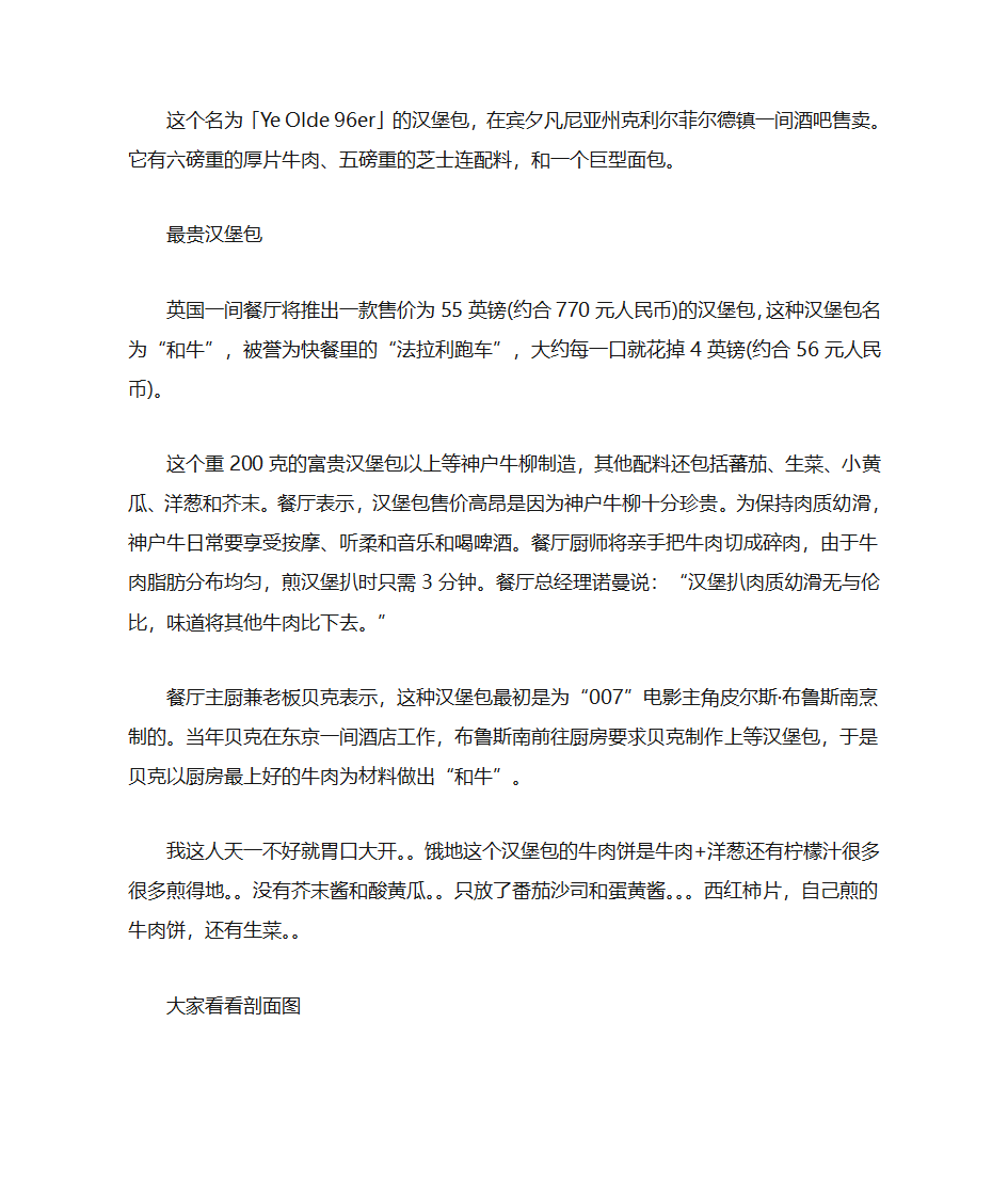 汉堡制作工艺第2页