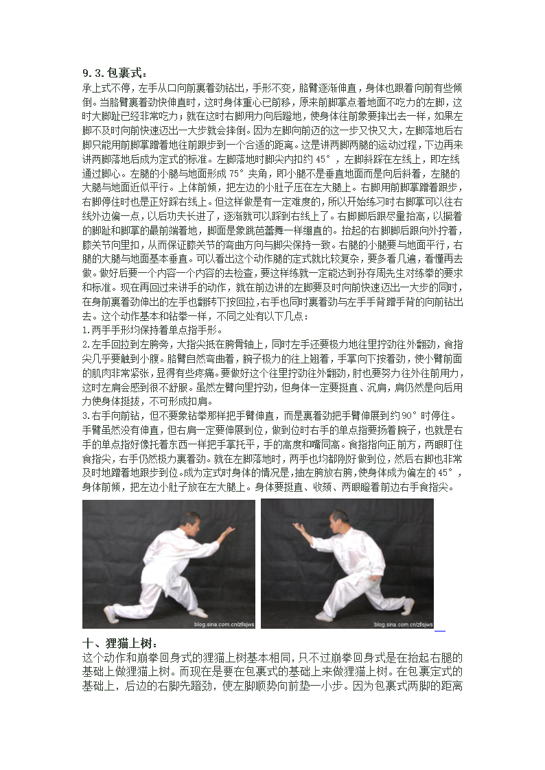 孙氏形意拳(连环拳)第8页