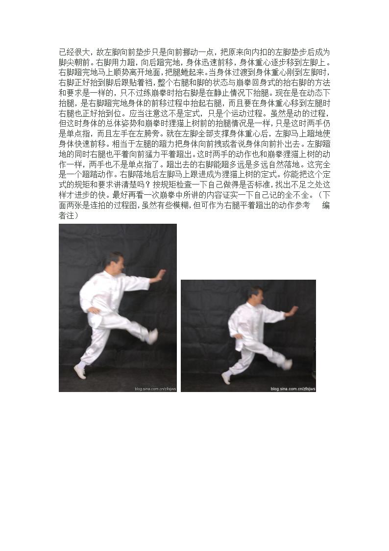 孙氏形意拳(连环拳)第9页