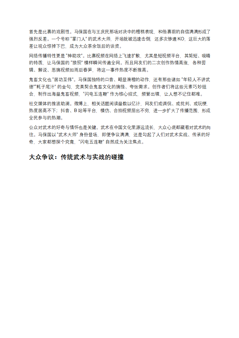 马保国闪电五连鞭第4页