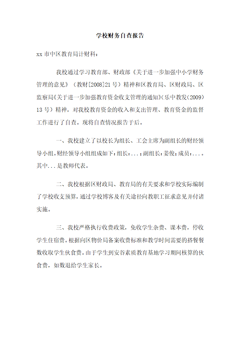 学校财务自查报告