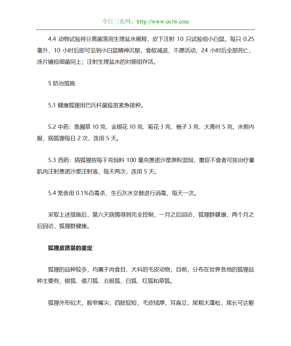 狐狸养殖技术第4页