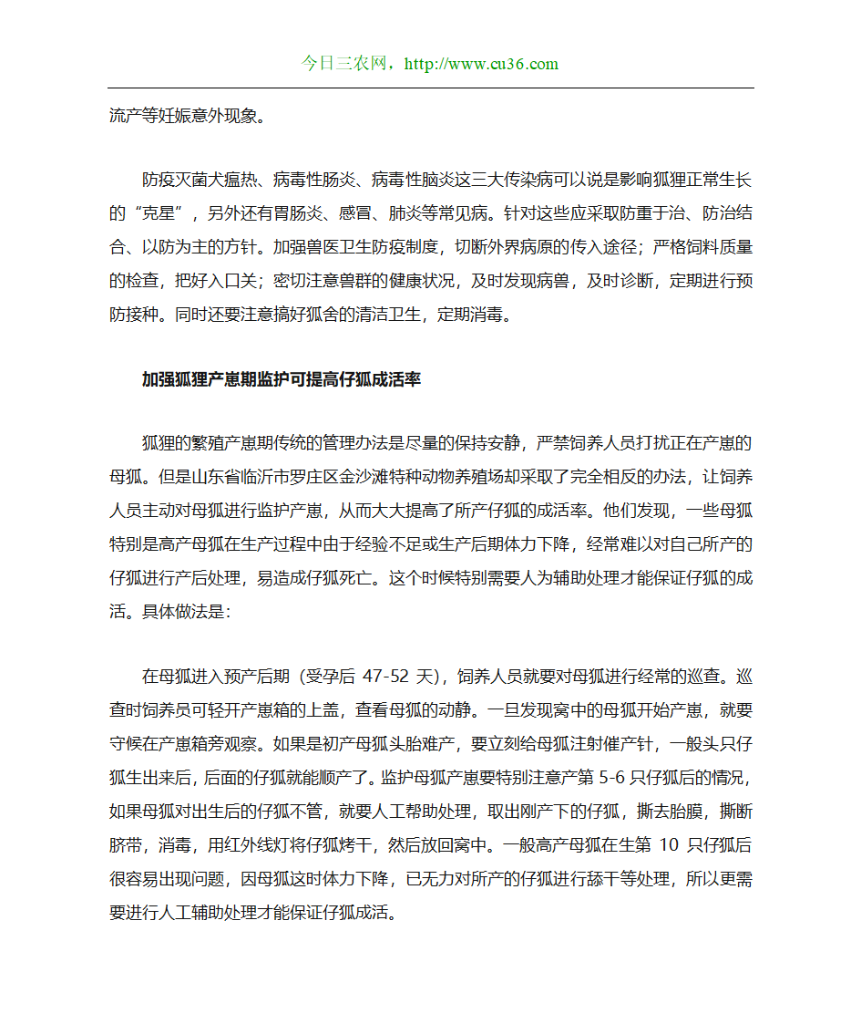 狐狸养殖技术第6页