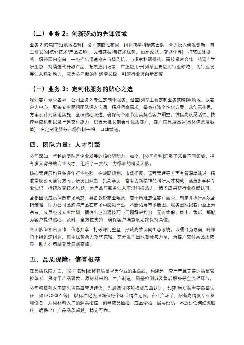 商务风公司宣传公司简介第2页