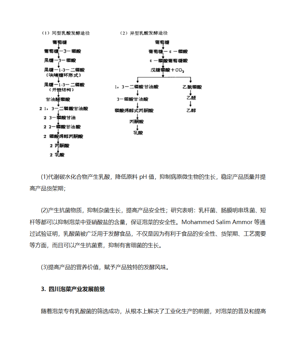 乳酸菌与四川泡菜第4页