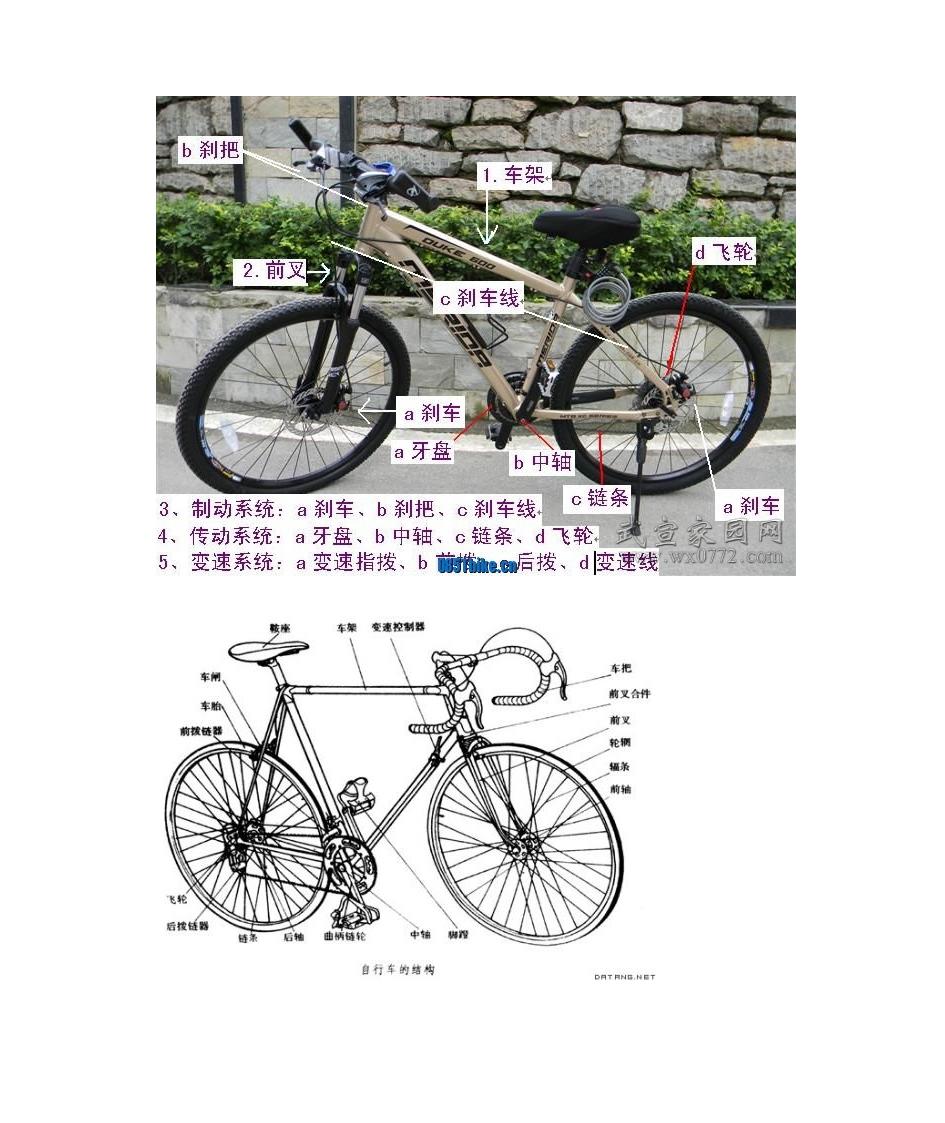 自行车结构第5页