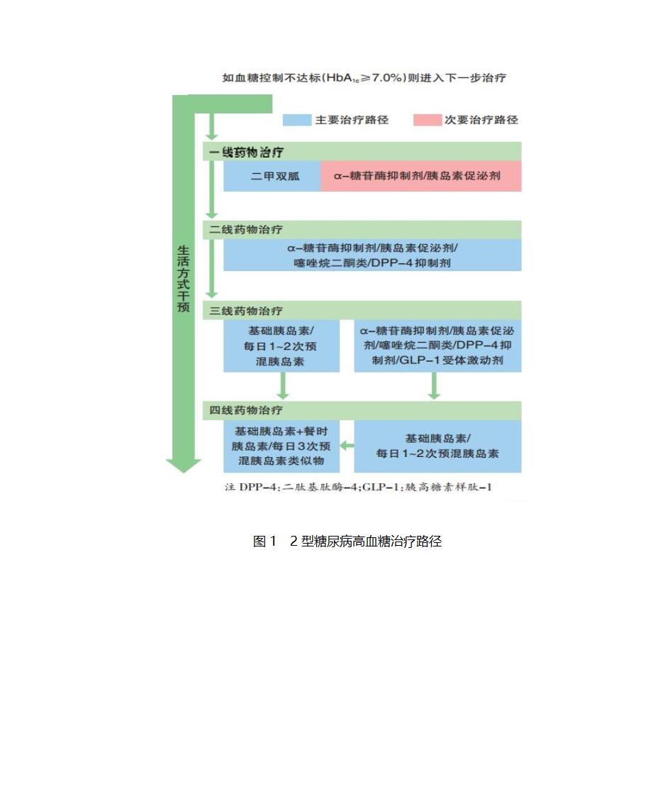 糖尿病药物治疗第5页