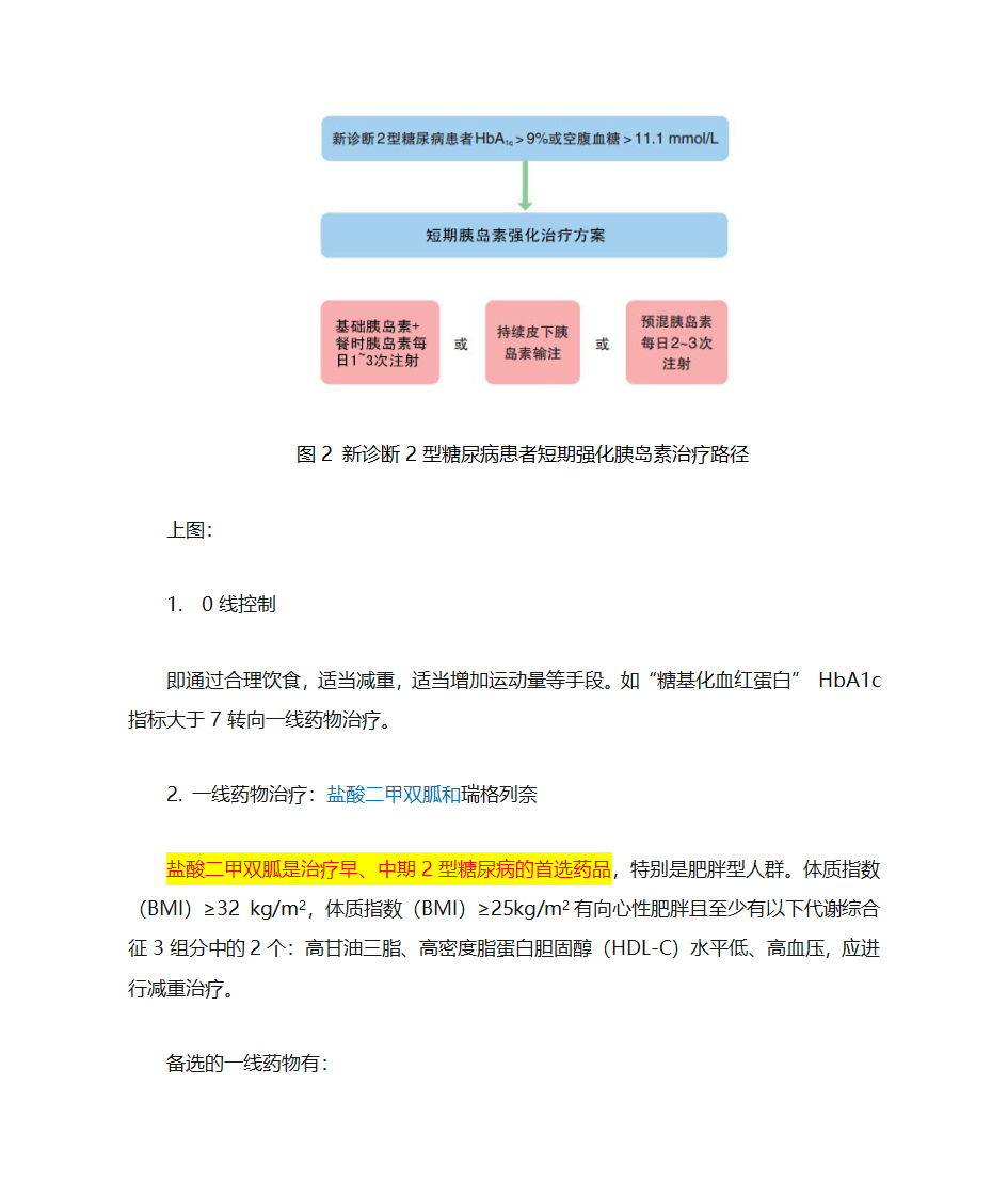 糖尿病药物治疗第6页