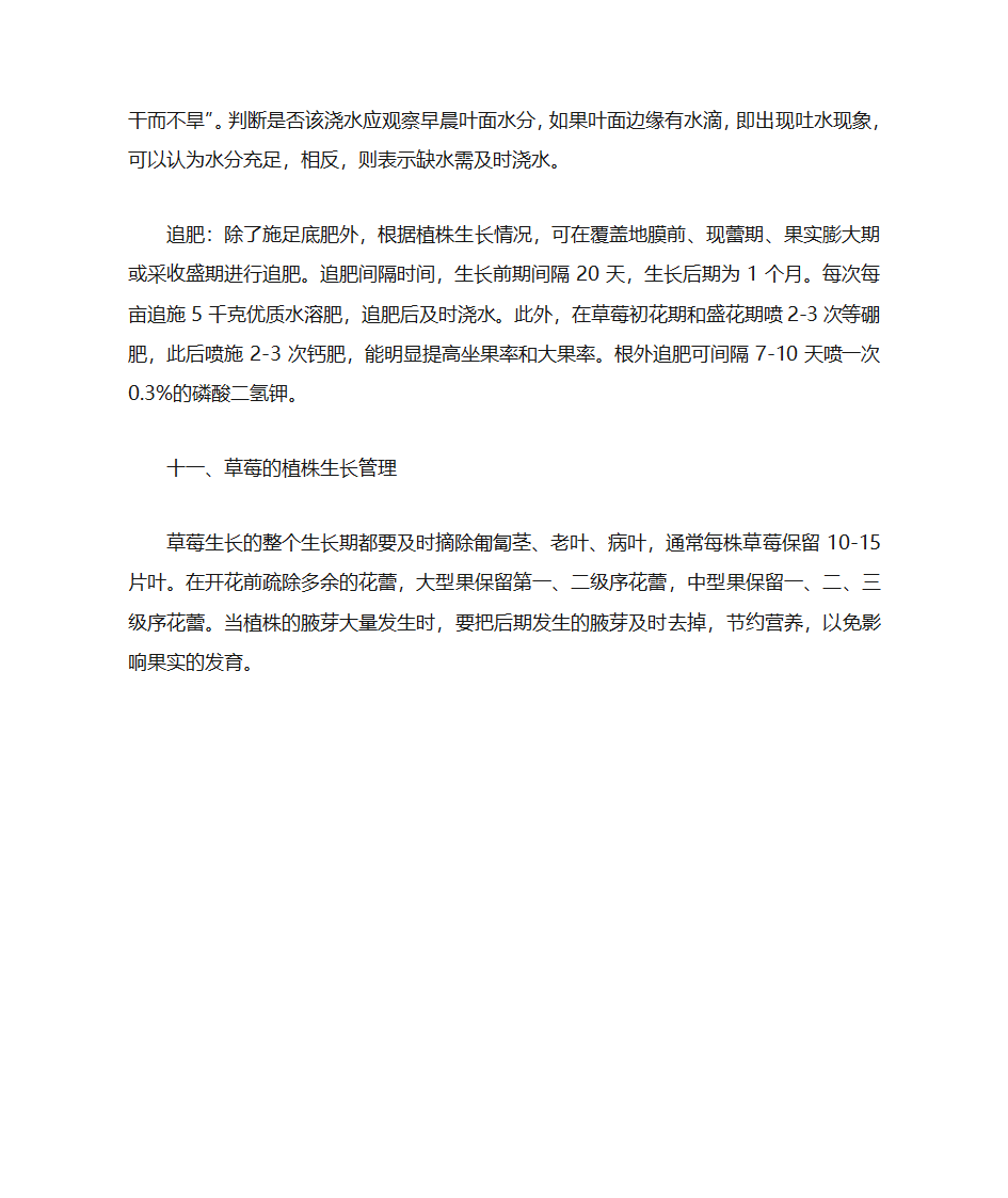 草莓参数第4页