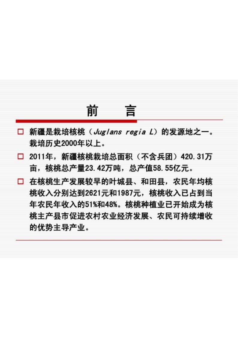 核桃新疆第3页