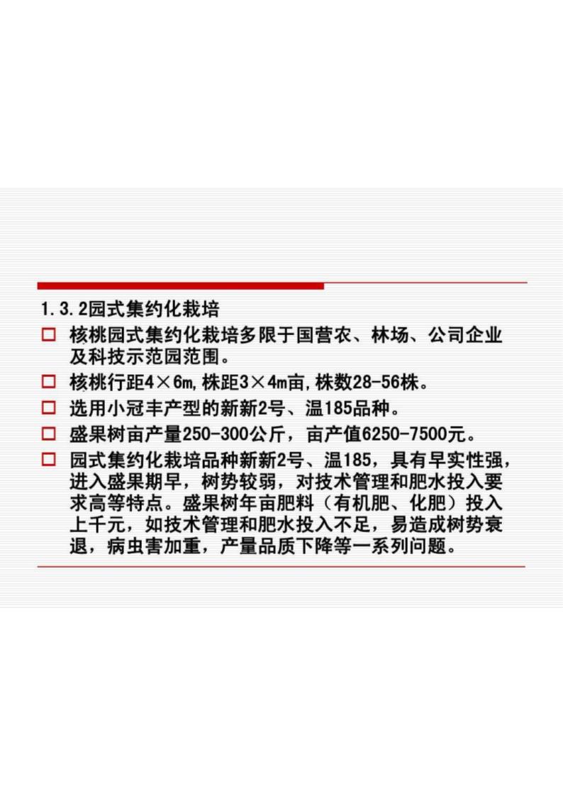 核桃新疆第13页